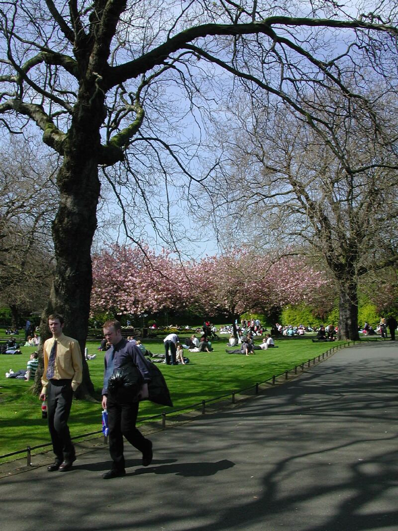 08 - Stephens Green.jpg