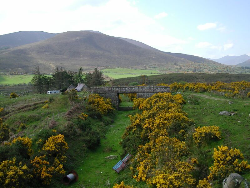 04 - Kerry.jpg