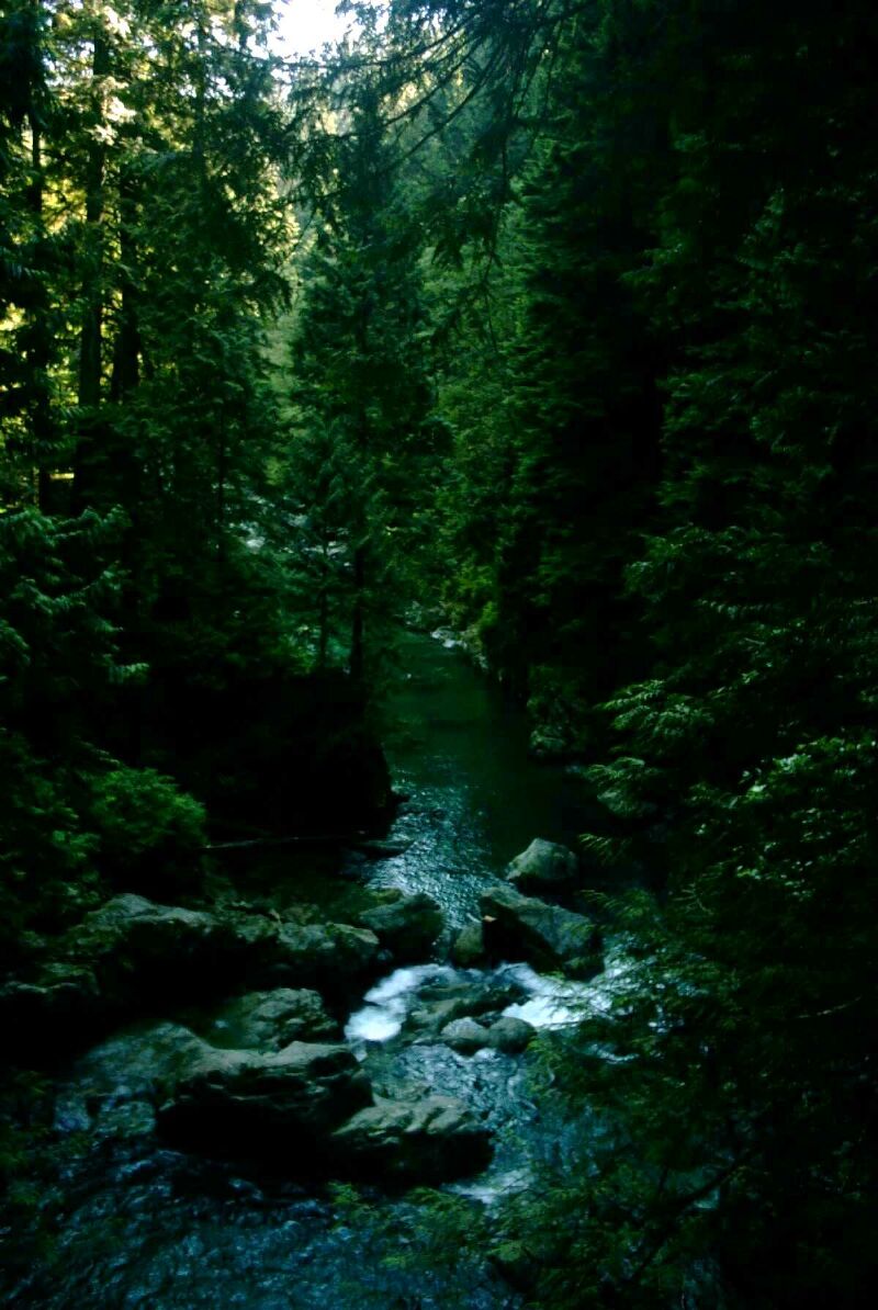 lynn creek.jpg