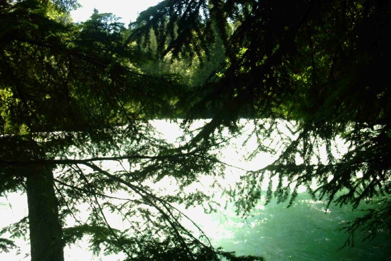 10 Cheakamus River.jpg