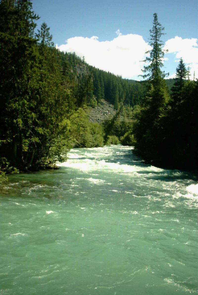 11 Cheakamus River.jpg