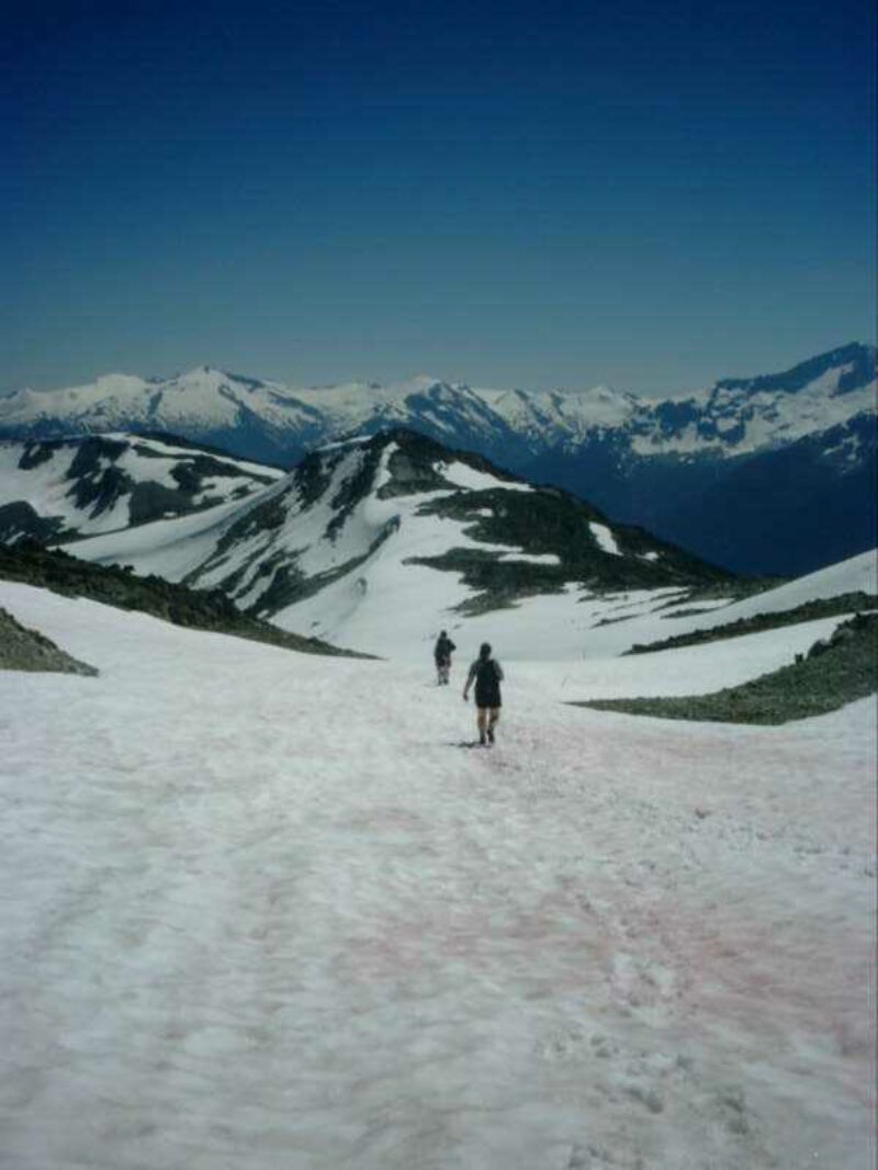 51 Hiking the glacier.jpg