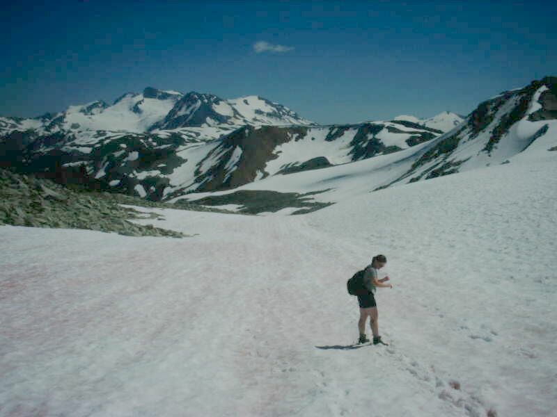 56 Hiking on Glacier.jpg