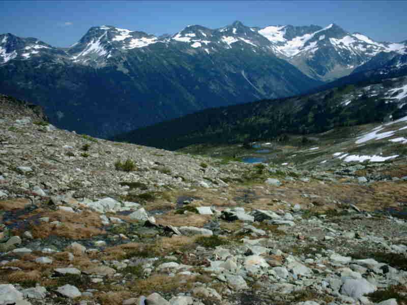 59 Cool Alpine Meadow.jpg