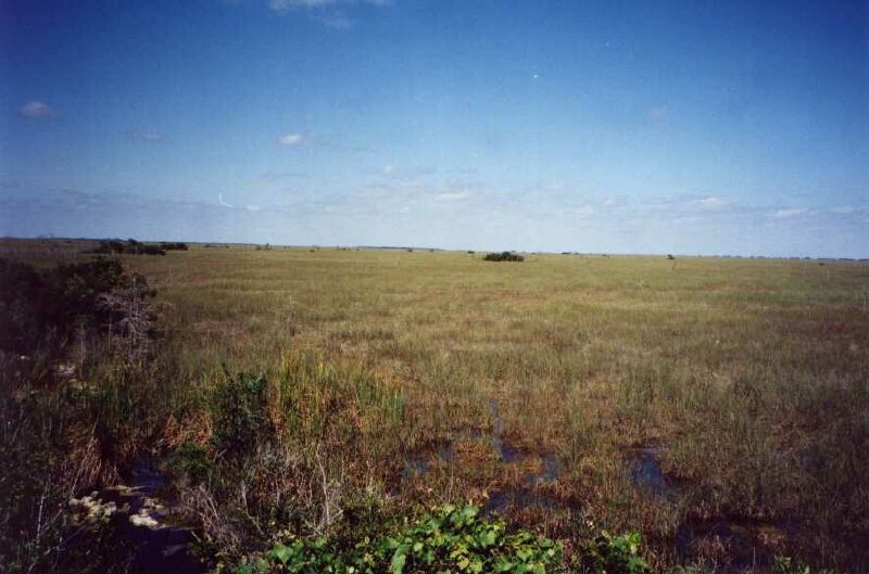 everglades_h.jpg