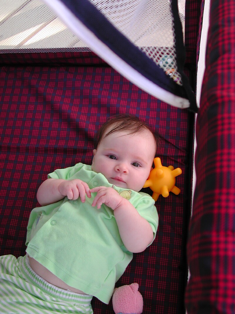 DSCN4116.jpg