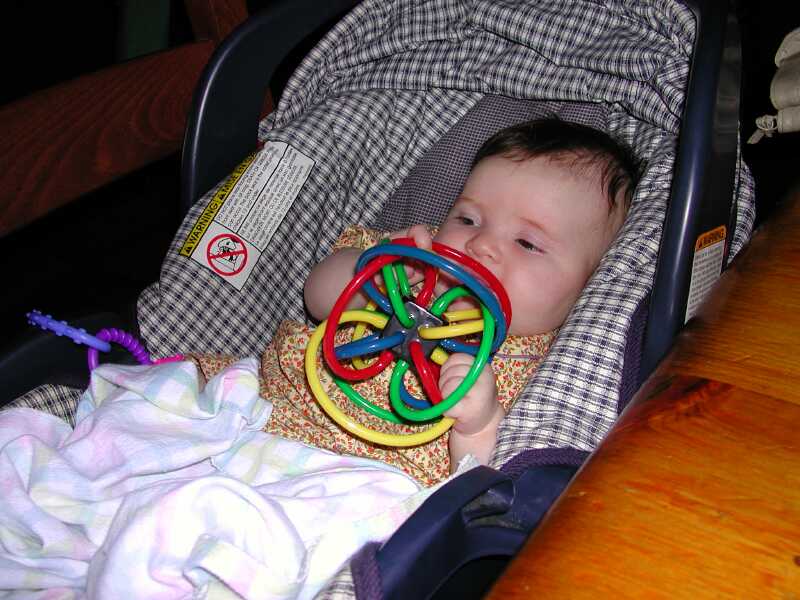 DSCN3781.jpg