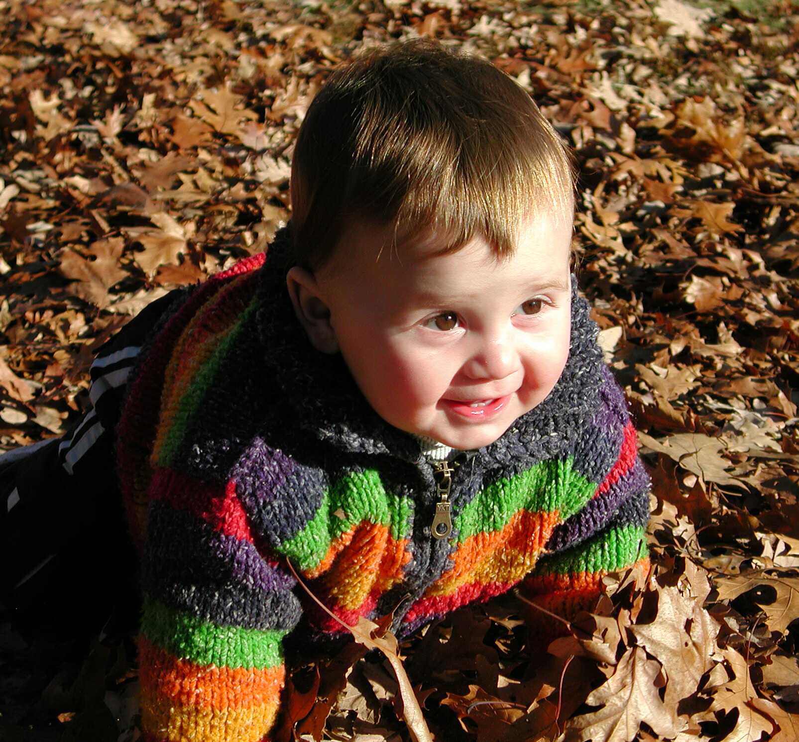 Kieran at High Park